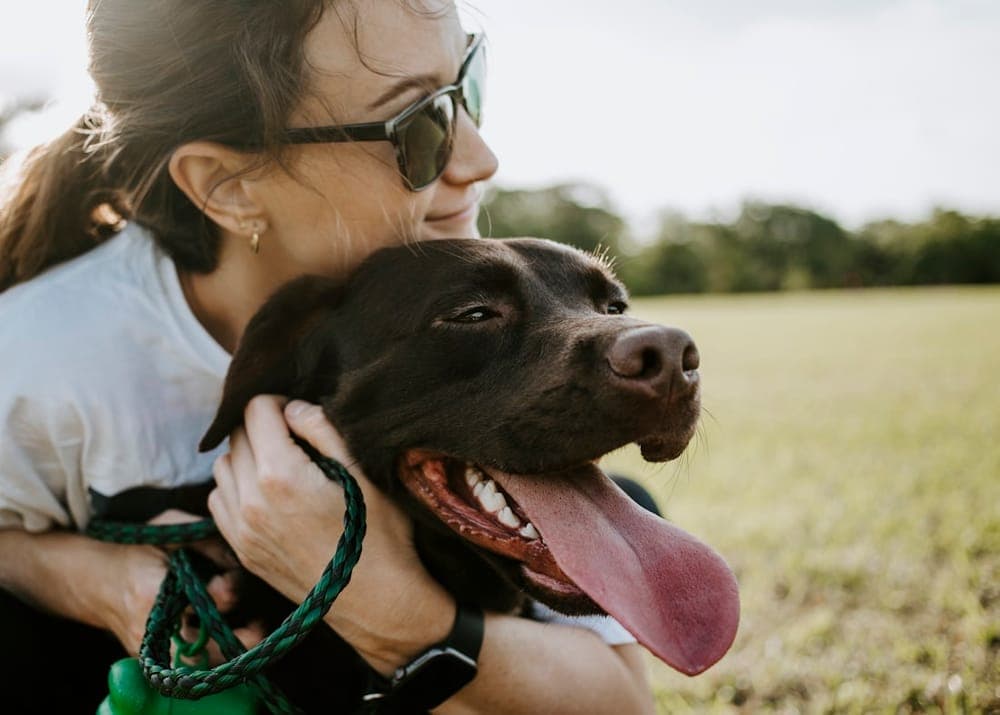 Premium dog boarding vs. a basic kennel: what's the difference?